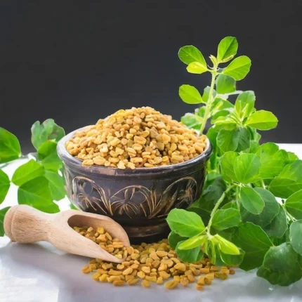 Fenugreek seed
