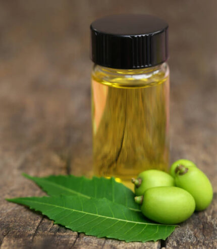 Medicinal neem leaves with essential oil in bottle on natural surface